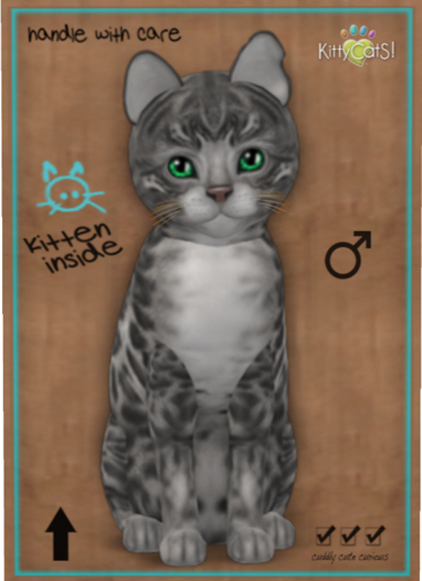 KittyCatS Box - Bengal - Silver