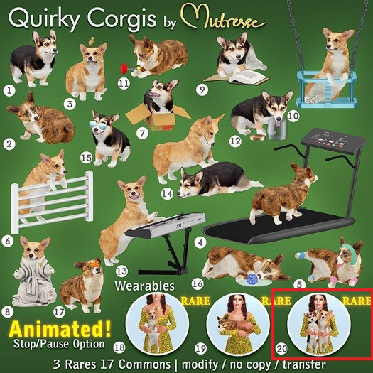 20-Mutresse-Quirky Corgis RARE