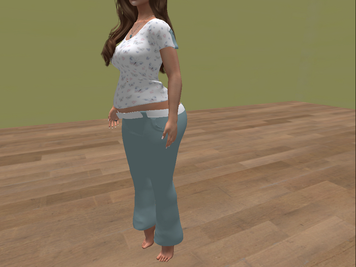 one ina melon butterfy snap tee and flares