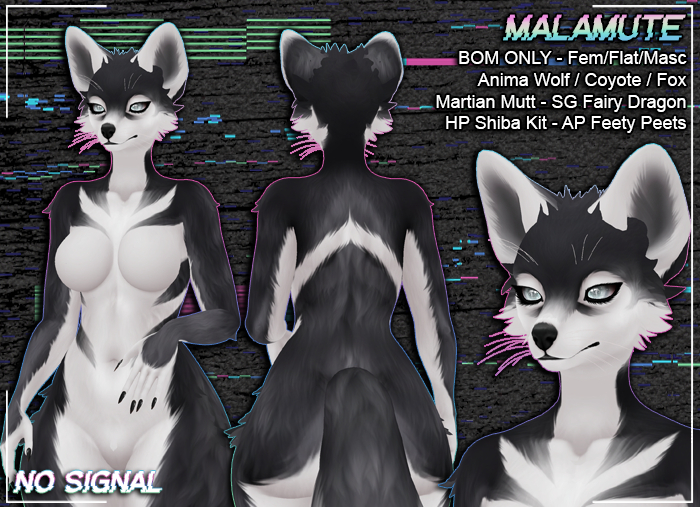 +NS+ Malamute