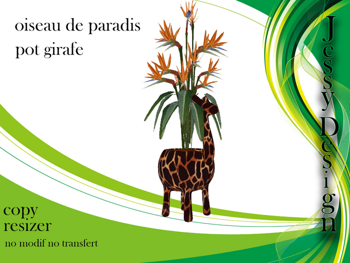 plante girafe