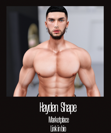 Hayden Shape| Yves 3.1