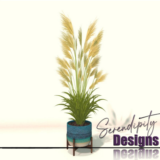 Serendipity Designs - Potted Pampass Grass