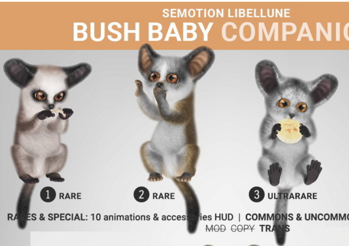 SEmotion Libellune Bush Baby Companion RARE 02