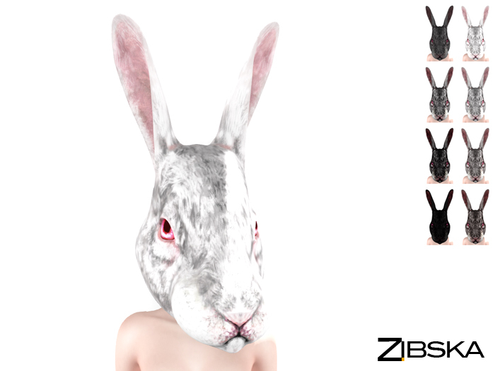 Zibska ~ Oryctolagus color change bunny rabbit head 