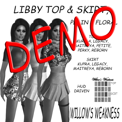 LIBBY SKIRT AND TOP DEMO