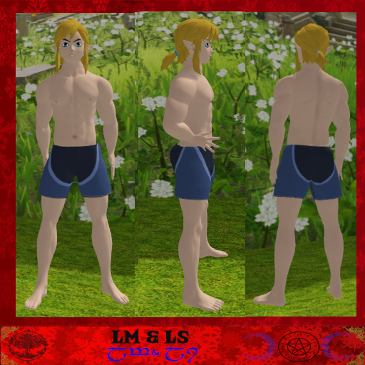 Link BOTW (Valentine's Day promo)