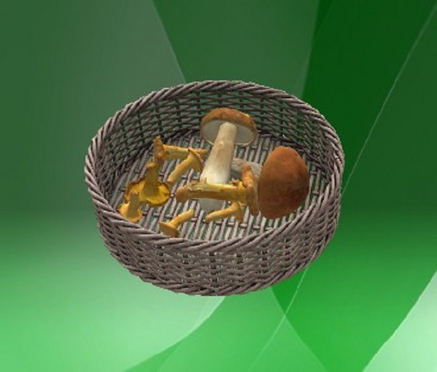 DFS Mushroom Basket