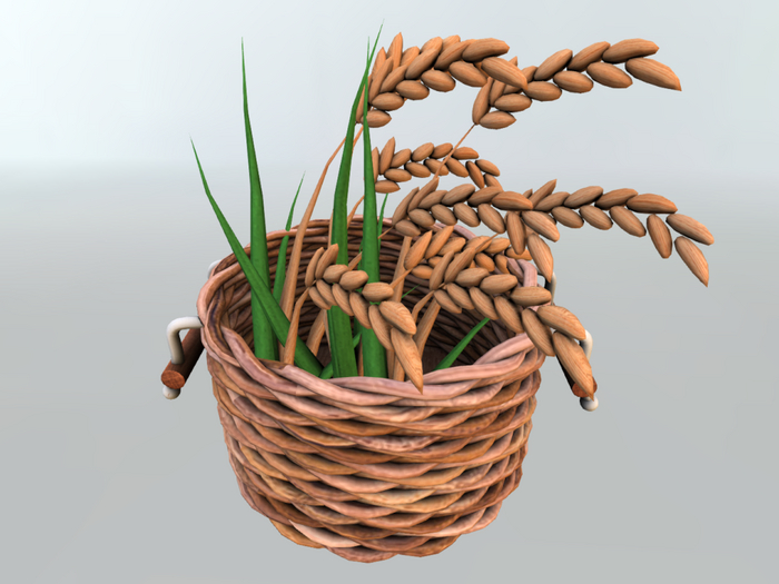 DFS Rice Basket X 100
