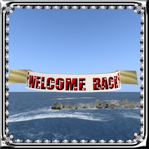 WBB2 - Welcome Back Teddy Banner