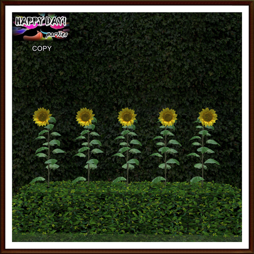 Spring - Hedge Large with Sunflowers