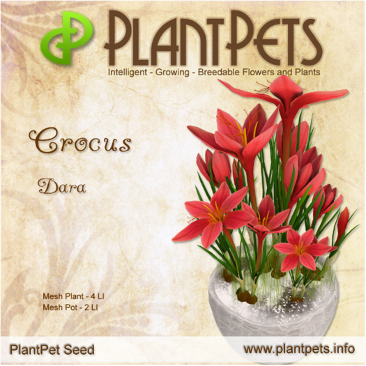 PlantPet Seed [Crocus *Dara*] v.3.088 common