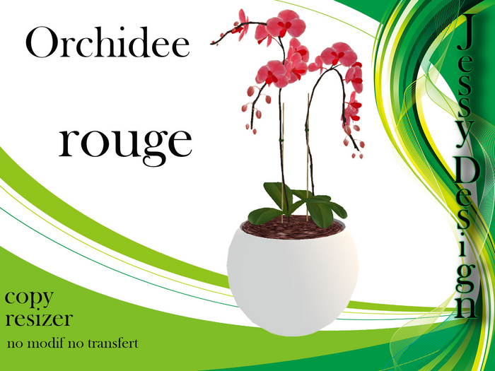 rouge orchidee