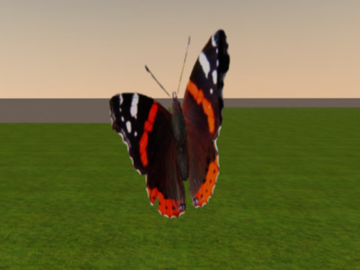 Black Red Butterfly by Felicity