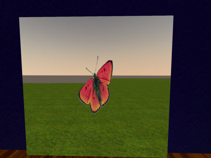 Orange Red Butterfly by Felicity