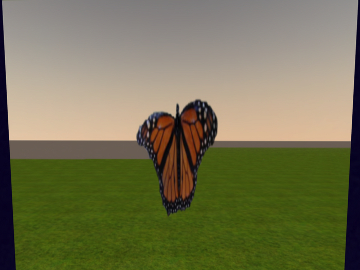 *Picture This* Brown Black Butterfly