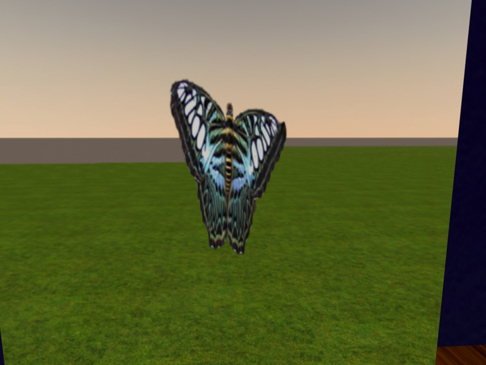 *Picture This* Blue Black Butterfly