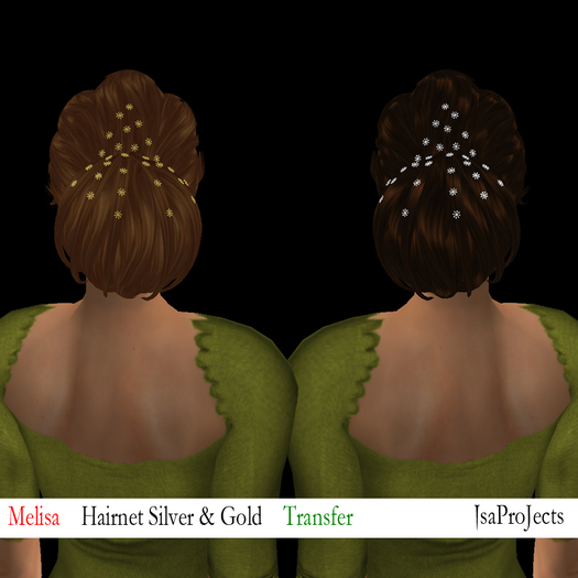 *Isa ProJects*Hairnet Melisa Silver & Gold