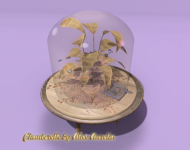 3rd Eye_ Reliquary Cloche MB 6