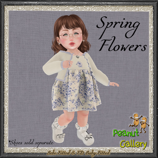 Peanut Gallery Spring Flowers