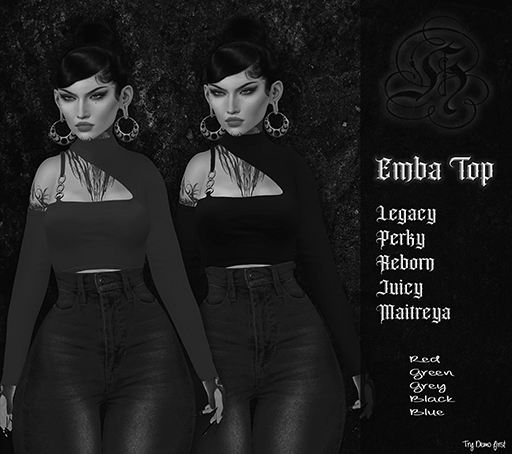:: H4 // Emba Top Demo ::