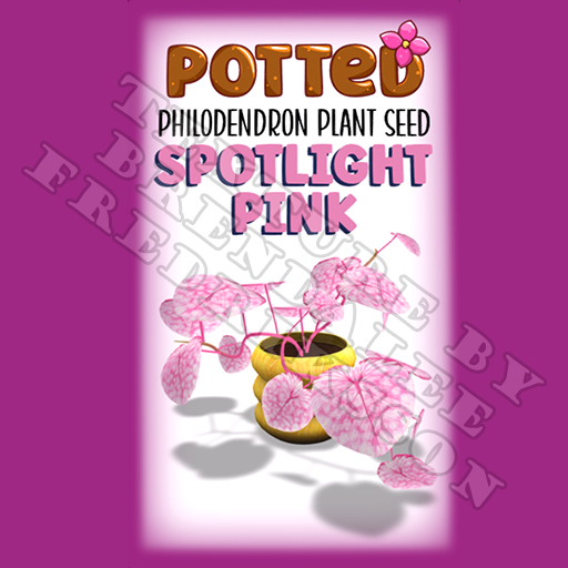 Potted: Philodendron Plant Seed: Spotlight Pink (ACTUAL PLANT SEED)