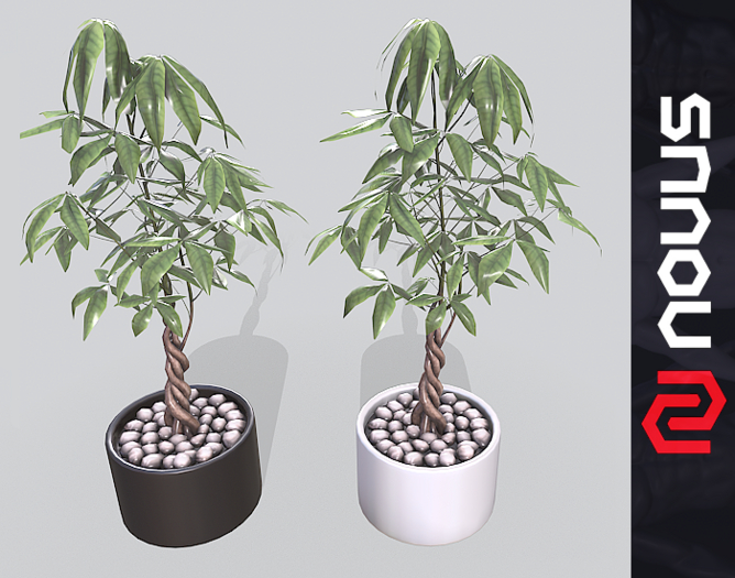 Chestnut Plant - White and Black Version {Mesh}