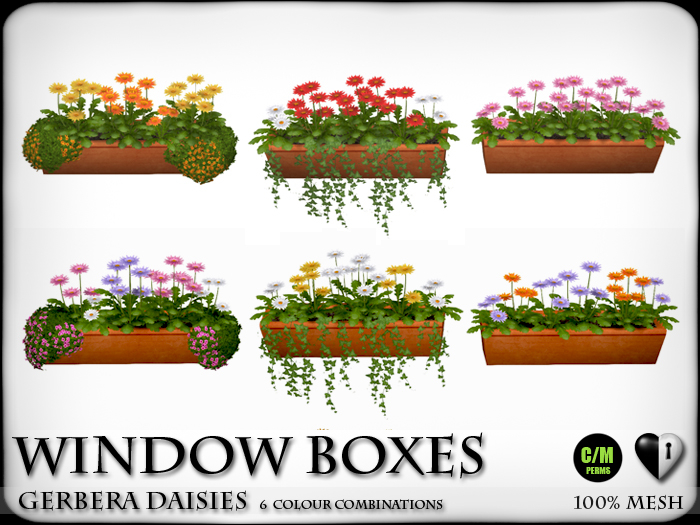 Home Decor - Window Boxes - Gerbera Daisies