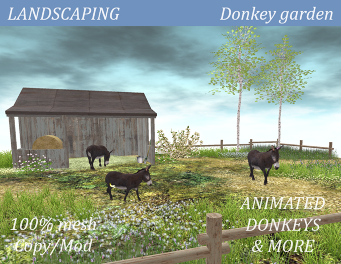GARDEN - The Donkey garden 20x20