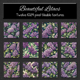 *Wallflowers* Beautiful Lilacs