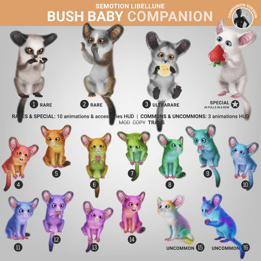 SEmotion Libellune Bush Baby Companion COMMON 11