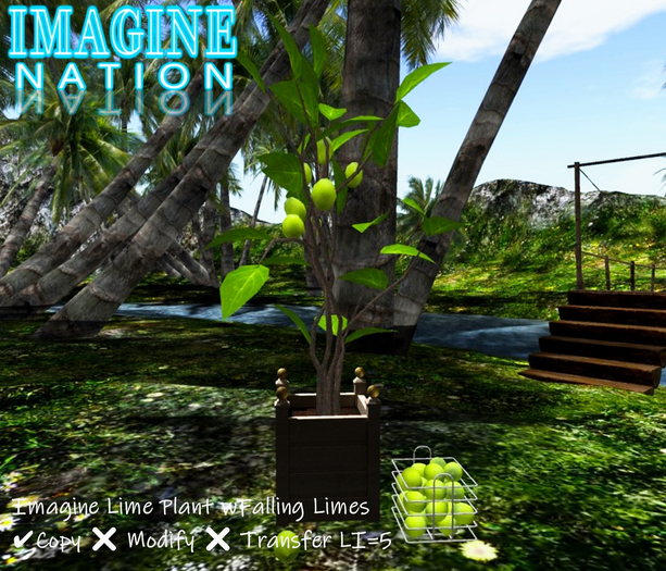 Imagine Lime Plant w/falling limes