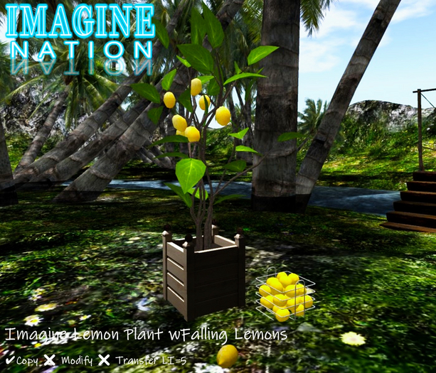 Imagine Lemon Plant w/falling lemons