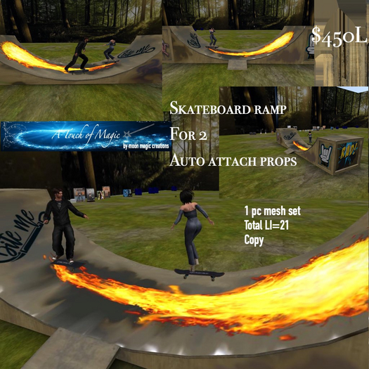 Skateboard Ramp for 2 -Box LI=21