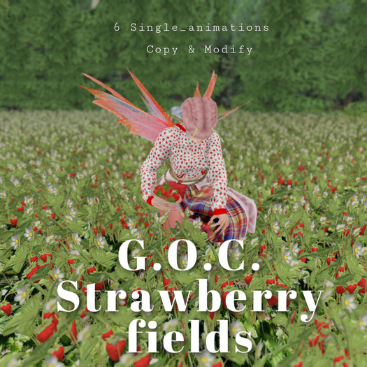 G.O.C._STRAWBERRY FIELDs