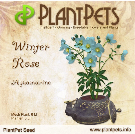 PlantPet Seed [Winter Rose *Aquamarine*]