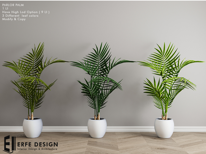 Parlor Palm HQ & Low LOD 3 Colored 1 LI [Erfe Design] PACK