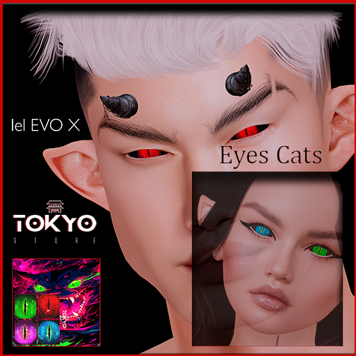 Tokyo Story Eyes Cats