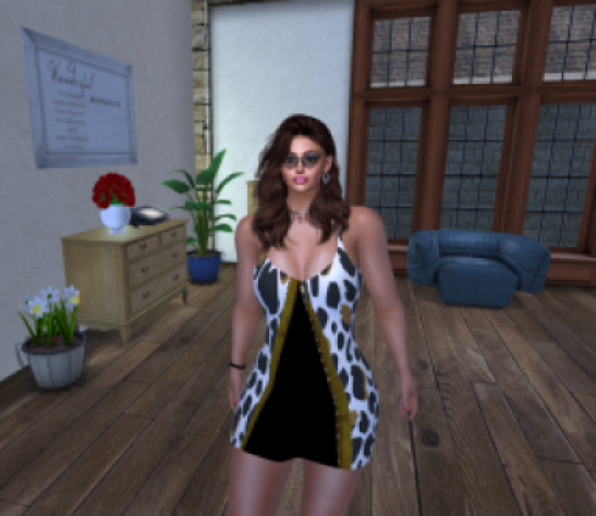 Tank Dress leopard