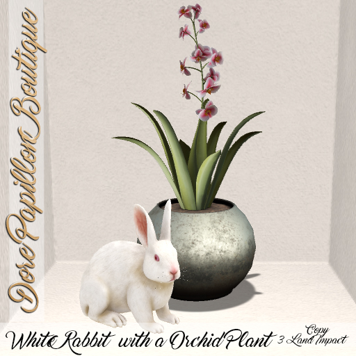DPB White Rabbit  with a Orchid Plant