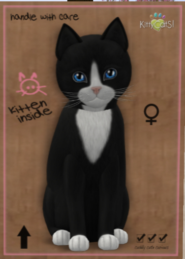KittyCatS - Chateau Cat - Black & White No. 3 Chic (Female)