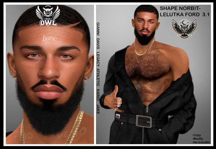 SHAPE NORBIT-LELUTKA FORD 3.1