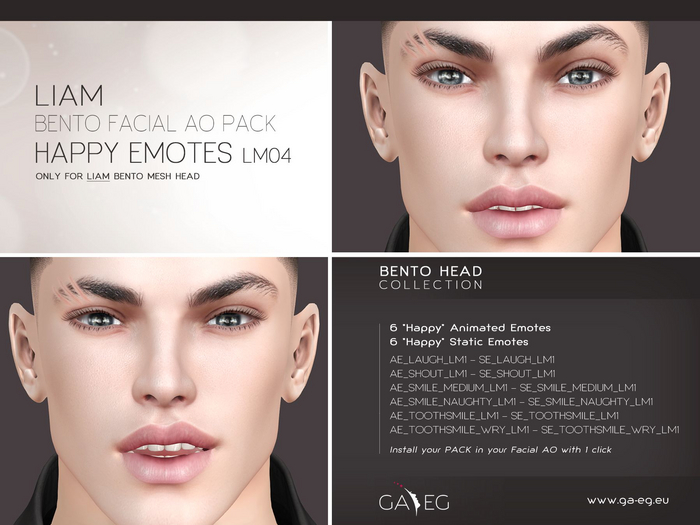 Second Life Marketplace - NEW !!! [GA.EG] Liam Bento Facial AO Pack ...