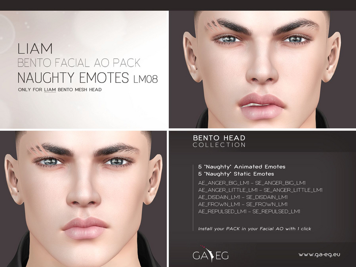 [GA.EG] Liam Bento Facial AO Pack - LM08 Naughty Emotes