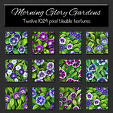 *Wallflowers* Morning Glory Garden