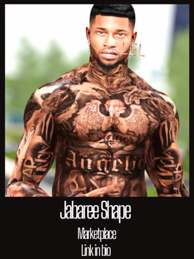 Jabaree Shape| Ford 3.1