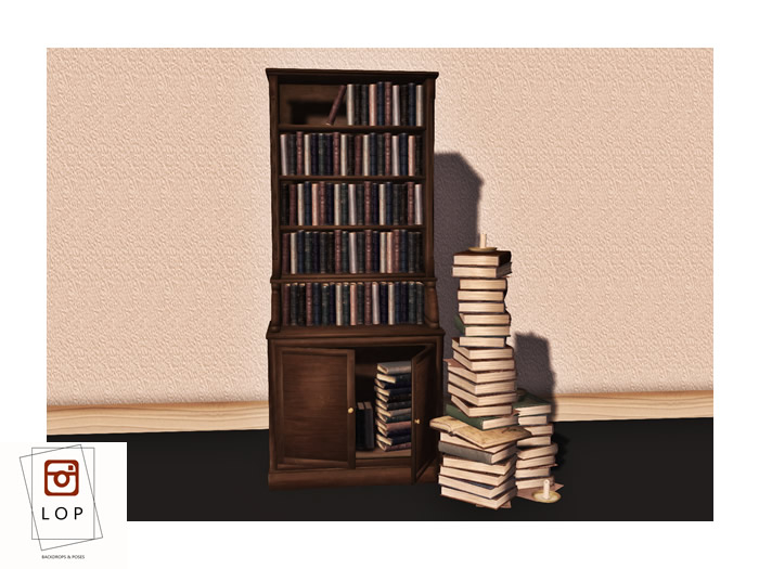 LOP Vintage Bookcase