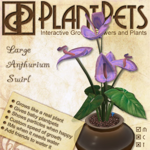 PlantPet Seed [Large Anthurium *Swirl*]