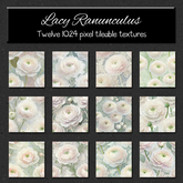 *Wallflowers* Lacy Ranunculus