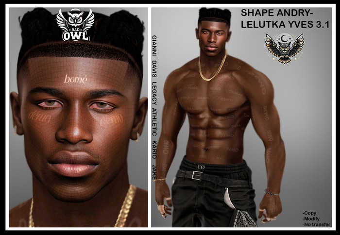 SHAPE ANDRY-LELUTKA YVES 3.1